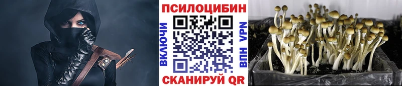 где купить наркоту  Липки  Псилоцибиновые грибы Psilocybine cubensis 